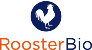 rooster-logo